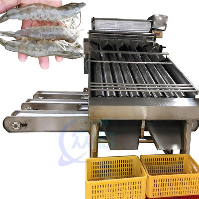 Buon prezzo Vaglio del gamberetto automatico della selezionatrice di lavaggio del gamberetto dell'attrezzatura di processo dei frutti di mare per la sbucciatura del gamberetto in linea