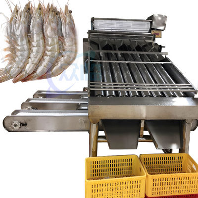 Macchina per la pulizia e la classificazione dei gamberetti Macchina automatica per la classificazione dei gamberetti