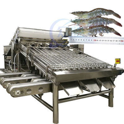 Buon prezzo Macchina di classificazione automatica del gamberetto classificatore di gamberetti in linea