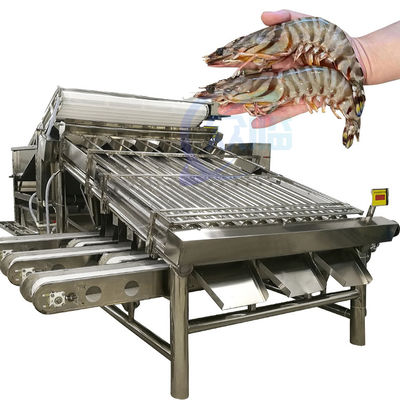 Buon prezzo Macchina della selezione di dimensione e di specificazione del pesce di elaborazione efficiente del pesce e del vaglio in linea