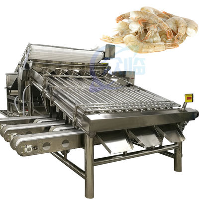 Buon prezzo Apparecchiature per la lavorazione dei frutti di mare Macchina di selezione dei gamberetti Macchina di classificazione automatica delle dimensioni dei gamberetti in linea