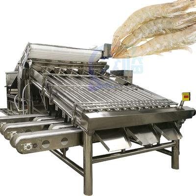 Macchina per la classificazione e il selezionamento delle aragoste Macchina per la classificazione dei gamberetti Macchina per la classificazione dei gamberetti