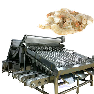 Buon prezzo Macchine per la lavorazione e la selezione dei gamberetti in acciaio inossidabile Macchine per la selezione dei frutti di mare in linea