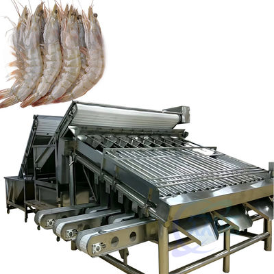 Buon prezzo Linea di produzione della macchina di pulizia integrata di gamberetti e pesci in linea