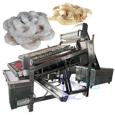 Buon prezzo Linea di produzione di buccia di gamberetti completamente automatica Il materiale complessivo è 304 acciaio inossidabile in linea
