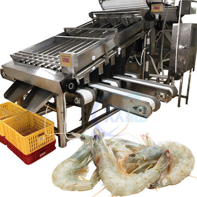 Buon prezzo Smart 304 acciaio inossidabile affidabile gamberetti macchina di smistamento adatto per l'industria dei prodotti ittici gamberetti macchina di smistamento in linea