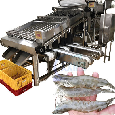 Buon prezzo Separatore di gamberetti Macchina di smistamento di gamberetti ad alta precisione per la lavorazione dei frutti di mare in linea