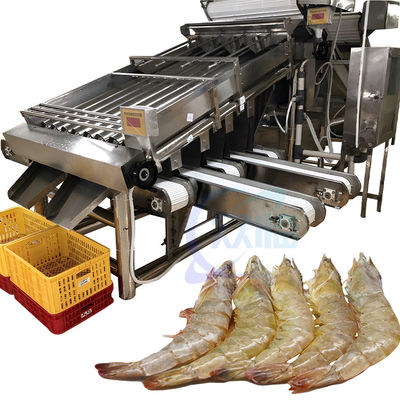 Macchina di smistamento di dimensioni di pesce e gamberetti per l'impianto di trasformazione dei prodotti ittici