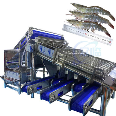 Macchine per la selezione dei crostacei per la pulizia e la selezione dei gamberetti, macchine automatiche per la macinazione, la decolorazione e la rimozione dei fili dei gamberetti