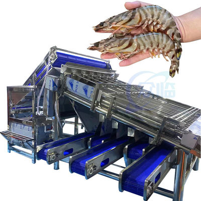 Buon prezzo Macchine per la depurazione di gamberetti per la lavorazione delle conchiglie di gamberetti Macchine per la lavorazione di conchiglie di gamberetti per la lavorazione dei gamberetti in linea