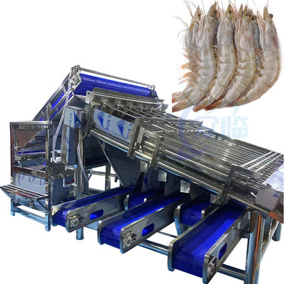 Macchina per la classificazione e la classificazione del pesce e dei gamberetti, completamente automatica e multifunzionale