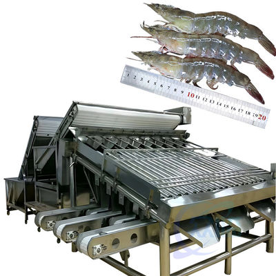 Buon prezzo Macchine di lavorazione per la classificazione dei frutti di mare e dei gamberetti, macchine per la classificazione dei gamberetti e dei pesci, macchine per la classificazione dei gamberetti e dei gamberetti in linea