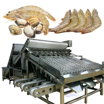 Macchina di selezione dei pesci per la linea di trasformazione alimentare automatizzata