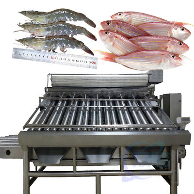 Buon prezzo Macchine automatiche per la classificazione dei pesci in linea