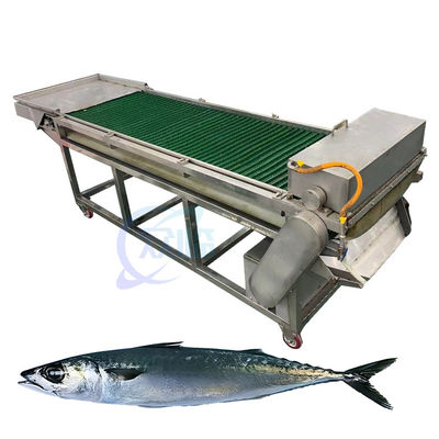 Buon prezzo Macchine professionali per il taglio e la rimozione della testa di pesce Macchine per il taglio della testa di pesce Macchine per la rimozione della testa di pesce in linea