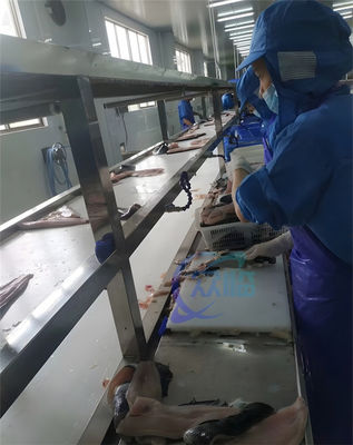 Buon prezzo Macchina per la pelle di tilapia in acciaio inossidabile professionale 304 0,75KW in linea