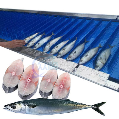 Buon prezzo La tagliatrice di pesce, la tagliatrice automatica di carne ossea ad alta efficienza in acciaio inossidabile 304 può essere personalizzata in linea