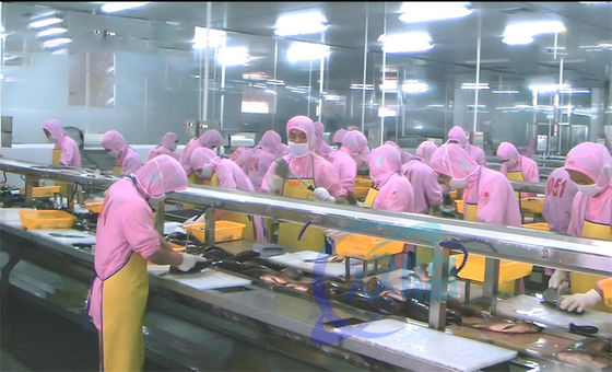 Buon prezzo Macchina per la lavorazione di gamberetti e pesce piattaforma di flusso di lavorazione multipersona in linea