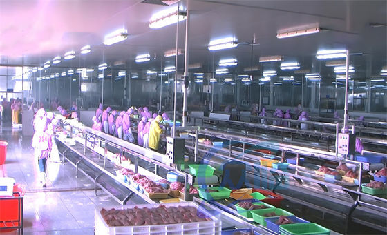 Buon prezzo 3.03KW Piattaforma di assemblaggio della linea di produzione di lavorazione del pesce in linea
