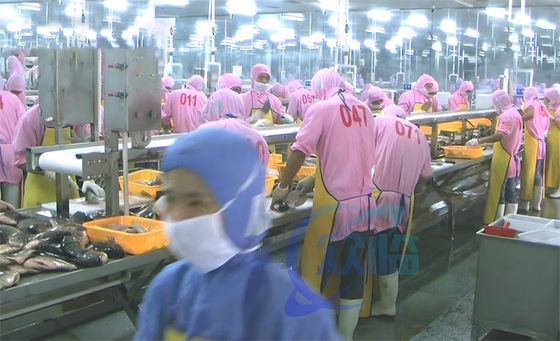 Buon prezzo 3.07KW Linea di produzione di descalcificazione del pesce in linea