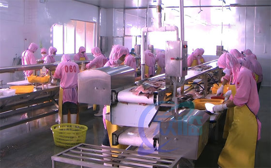 Buon prezzo Macchine per la lavorazione di pesce e gamberetti Cintura trasportatrice Fabbrica di prodotti ittici Banchina di lavoro Linea di lavorazione di gamberetti in linea