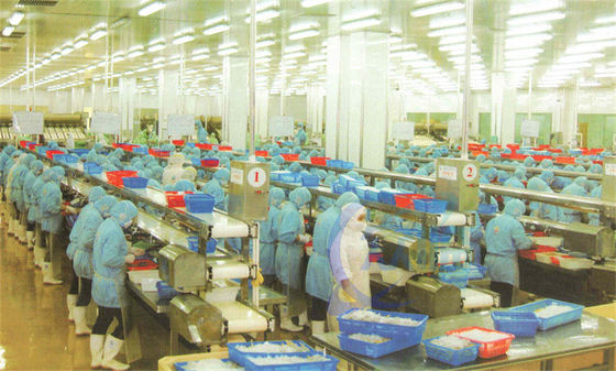 Buon prezzo Personalizzazione Cornice in acciaio inossidabile Linea di assemblaggio di lavorazione alimentare Cintura trasportatrice trasportatore di lavorazione del pesce in linea
