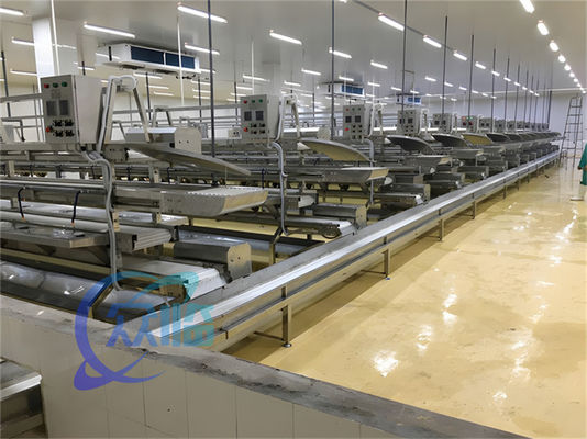 Buon prezzo 3.10KW linea di trasformazione del pesce trasportatore linea di produzione di descalcificazione del pesce pesce in linea