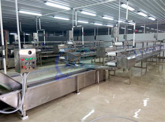 Buon prezzo 2.22KW SS Lavatrice per la lavorazione di frutta e verdura Linea di produzione Lettuce Cavoli Air Spray Lavatrice in linea