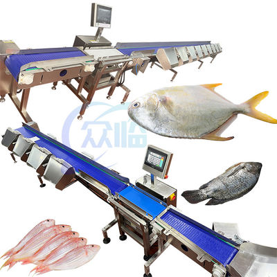 Buon prezzo 1.32KW 1g Scale minima Basa Sizing Machine Bass Sorting Machine in linea