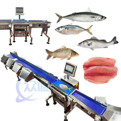 Buon prezzo Macchina per la selezione dei pesci di alta qualità Macchina per la misurazione dei pesci Potenza 1.3KW Focus Pesce di classificazione in linea