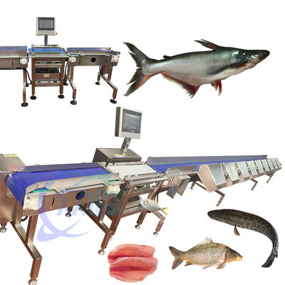 Buon prezzo Macchina di classificazione dei pesci ad alta precisione SUS 304 classificatore di pesci durevole classificatore automatico di pesci in linea