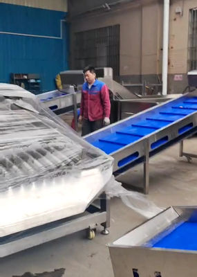 Classificatore di pesci pelagici di grande capacità da 5 a 10 tonnellate all'ora per la linea automatica di classificazione dei pesci