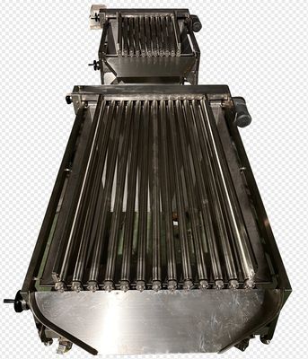 Buon prezzo Quattro modelli di pesce automatico di classificazione della macchina e dimensioni di pesci piccoli con alto stabile in linea