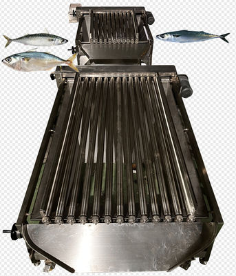 Quattro stili, linea automatica per la classificazione dei pesci e macchina per la selezione del sgombro.
