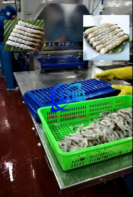 Buon prezzo Macchina automatica per tendere gamberi Tempura, macchina NOBASHI, linea per tendere gamberi in linea