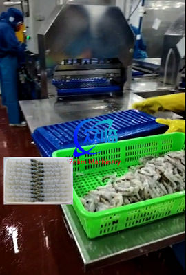 Buon prezzo 100 pcs vassoio macchina automatica NOBASHI e Tempura gamberi strisciatore macchina in linea