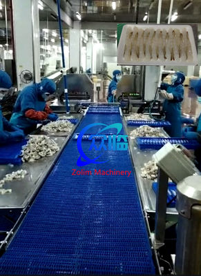 Buon prezzo Nuova linea di allungamento di gamberetti, linea di lavorazione Tempura, lavorazione NOBASHI in linea