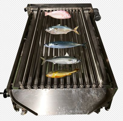 Buon prezzo Macchina automatica ad alta velocità per la classificazione di molti tipi di pesci marini in linea