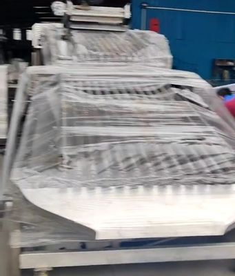 Buon prezzo Equipaggiamento di classificazione dei pesci a controllo PLC personalizzato per la classificazione dei piccoli pesci con automatico in linea