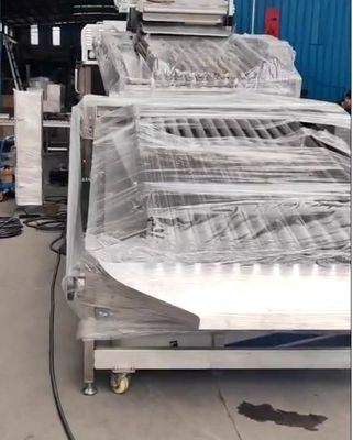 Buon prezzo Quattro modelli di pesce automatico di dimensione macchina e Soring giallo Croaker alto stabile in linea
