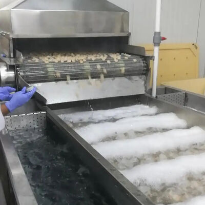 Buon prezzo Macchina di raffreddamento dei frutti di mare a 380V resistente Macchina di lavorazione dei gamberetti Macchina di lavorazione del pesce Macchina di raffreddamento dei gamberi in linea