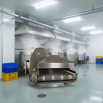 Buon prezzo Macchina di sbiancamento CE per la trasformazione dei prodotti ittici Equipaggiamento di cottura durevole Tunnel di cottura automatico per il pesce in linea
