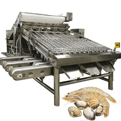 Buon prezzo Equipaggiamento di selezione di gamberetti in acciaio inossidabile Stabile anti-erosione 4.9KW Macchina di taglio dei gamberetti per impianti di gamberetti Grader automatico di gamberetti in linea