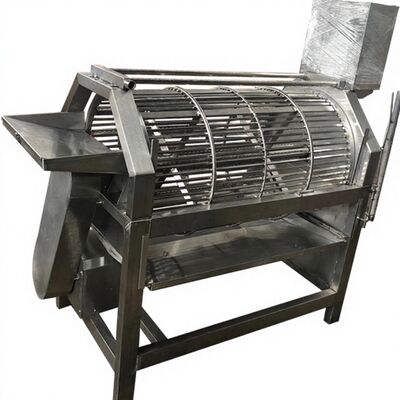 Buon prezzo Zolim Fish Descaling Machine Fish Scale Remover Electric 2.2kw Fish Scale Machine Fish Scale Equipment per la fabbrica di pesce in linea