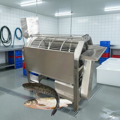Buon prezzo Macchina automatica di descalcificazione dei pesci per le piante di pesce Rimuoviamo le scaglie dei pesci Zolim Macchina di descalcificazione dei pesci 2.2kw Attrezzatura di descalcificazione dei pesci in linea
