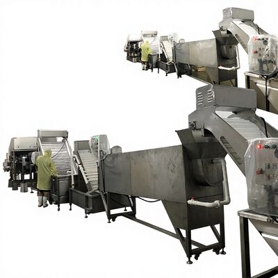 Buon prezzo Zolim Automatic Shrimp Dehead Line Removal Machine & Head Removal System 10.8KW 380V per la linea di produzione di lavorazione di gamberetti in linea