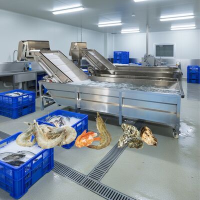 Buon prezzo Lavatrice a bolle Zolim per prodotti ittici 2.2kw Lavatrice di pesce Smart Lavatrice di gamberetti per fabbrica di trasformazione di prodotti ittici in linea