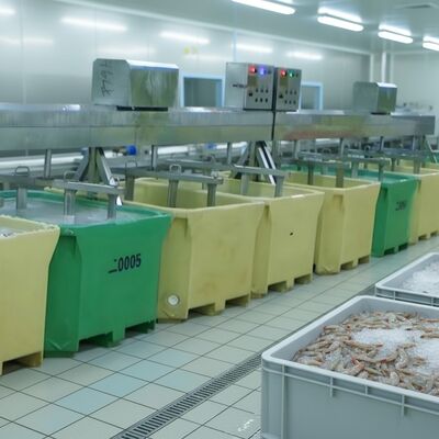 Buon prezzo Frullatore di frutti di mare per la lavorazione del pesce La migliore macchina per l'ammollo del pesce Frullatore di gamberetti Zolim per impianti di lavorazione del pesce in linea