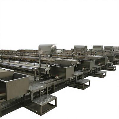 Buon prezzo Linea di trasformazione di gamberetti Linea di trasformazione di gamberetti per la decapitalizzazione e la deposizione del guscio Linea di produzione di fabbrica di trasformazione di pesci in linea