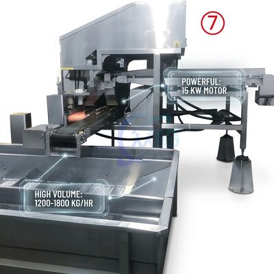Buon prezzo Durable Shrimp Processing Machine Hygienic SUS304 800-1000KG 9.0KW 220V For Food Processing Factory in linea